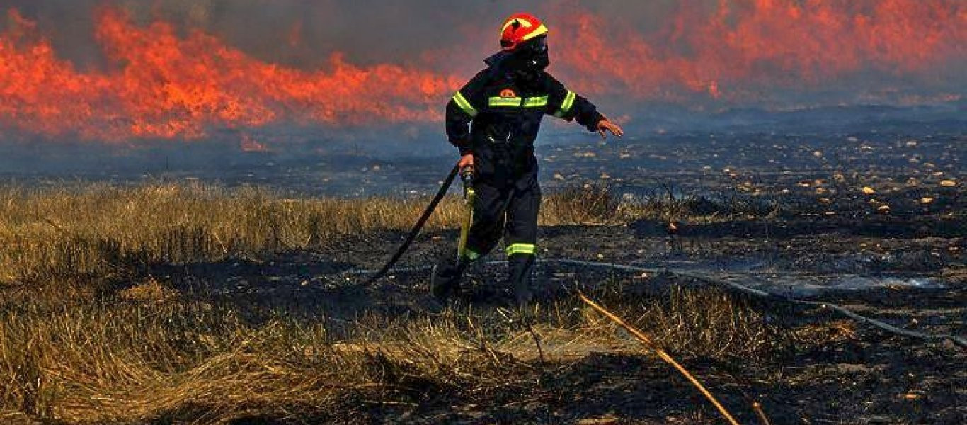 Μεγάλη πυρκαγιά στο Δίλοφο Φαρσάλων